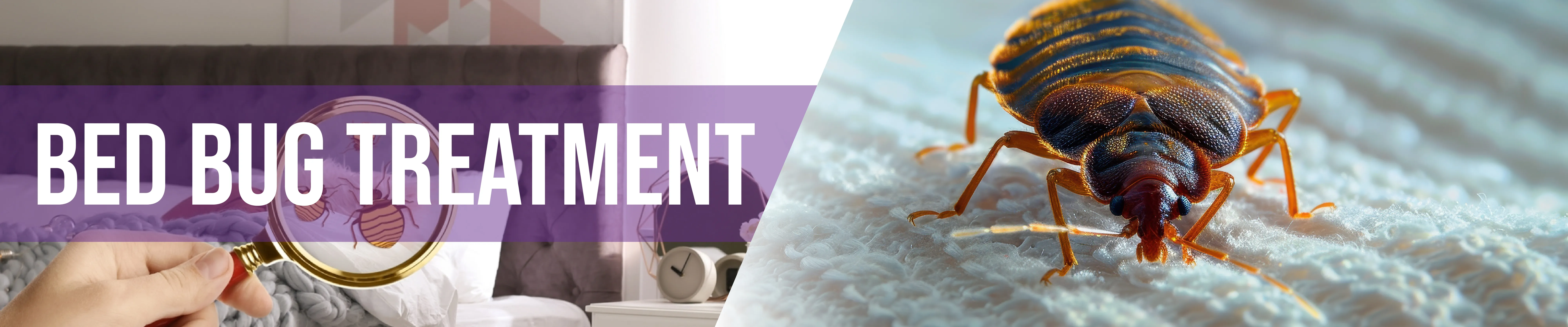 carpet cleaning in the Bronx, carpet cleaning in the Bronx, carpet cleaning the Bronx, carpet cleaners in the Bronx, carpet cleaners in the Bronx, commercial carpet cleaning, commercial carpet cleaning in the Bronx, the Bronx rug cleaners, rug cleaning services in the Bronx, same day carpet cleaning, same day rug cleaning