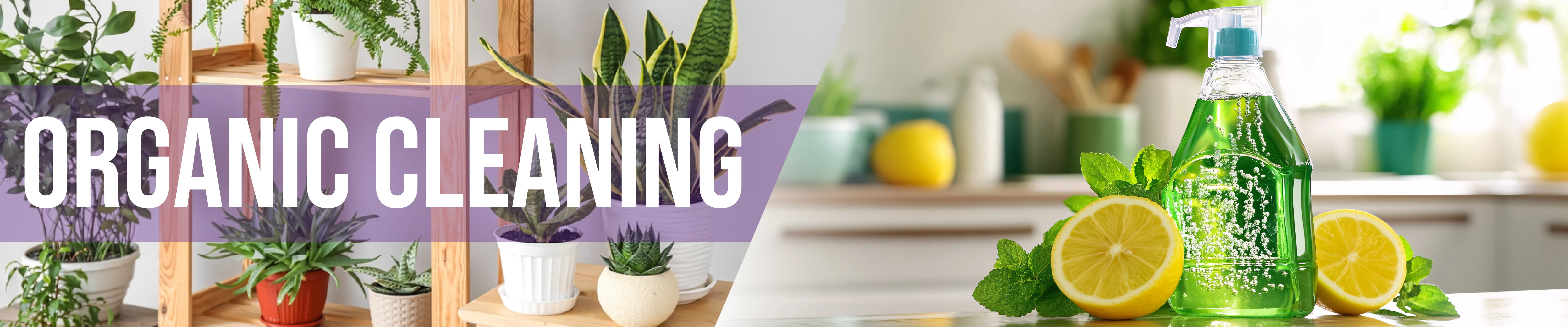 carpet cleaning in the Bronx, carpet cleaning in the Bronx, carpet cleaning the Bronx, carpet cleaners in the Bronx, carpet cleaners in the Bronx, commercial carpet cleaning, commercial carpet cleaning in the Bronx, the Bronx rug cleaners, rug cleaning services in the Bronx, same day carpet cleaning, same day rug cleaning