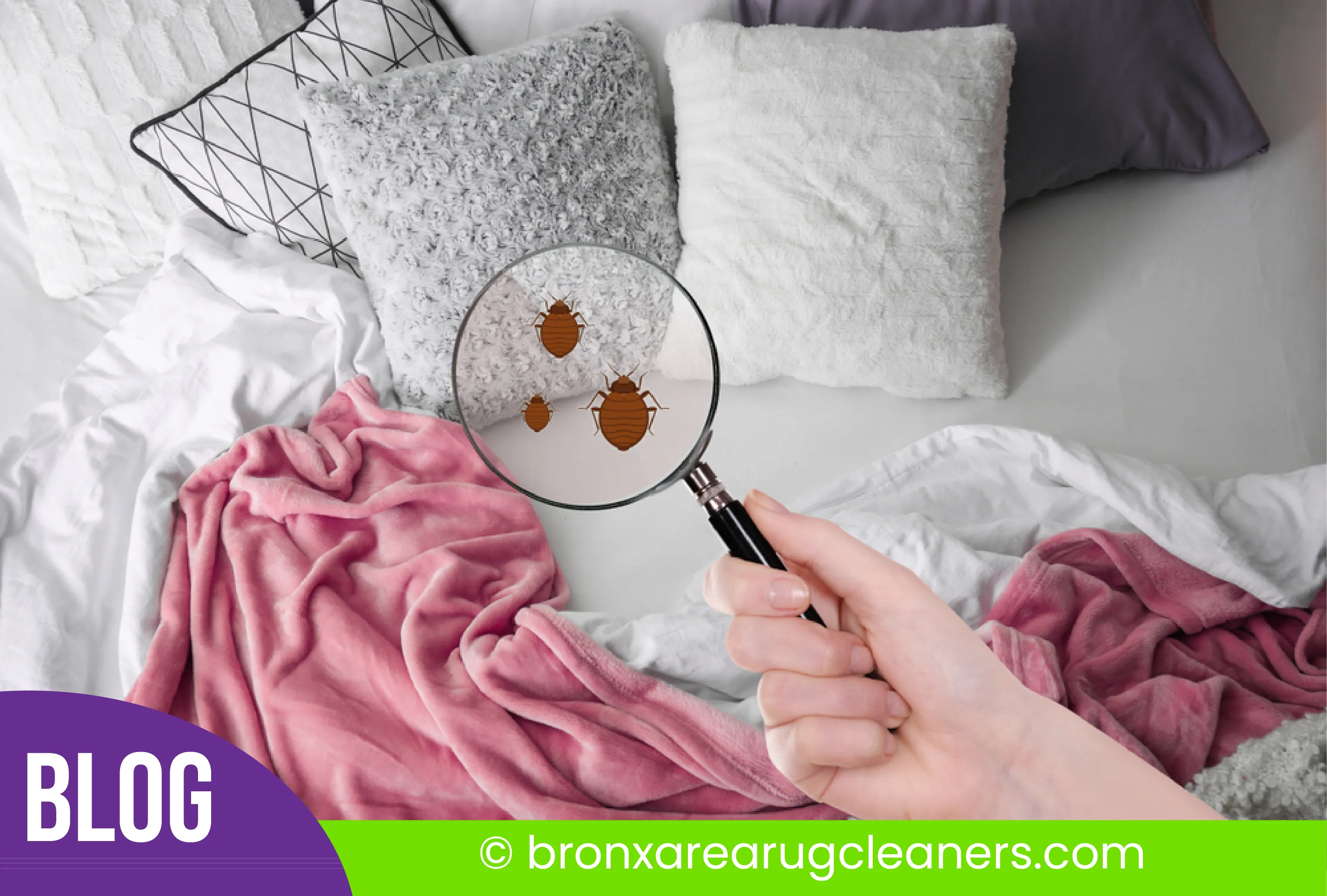 carpet cleaning in the Bronx, carpet cleaning in the Bronx, carpet cleaning the Bronx, carpet cleaners in the Bronx, carpet cleaners in the Bronx, commercial carpet cleaning, commercial carpet cleaning in the Bronx, the Bronx rug cleaners, rug cleaning services in the Bronx, same day carpet cleaning, same day rug cleaning