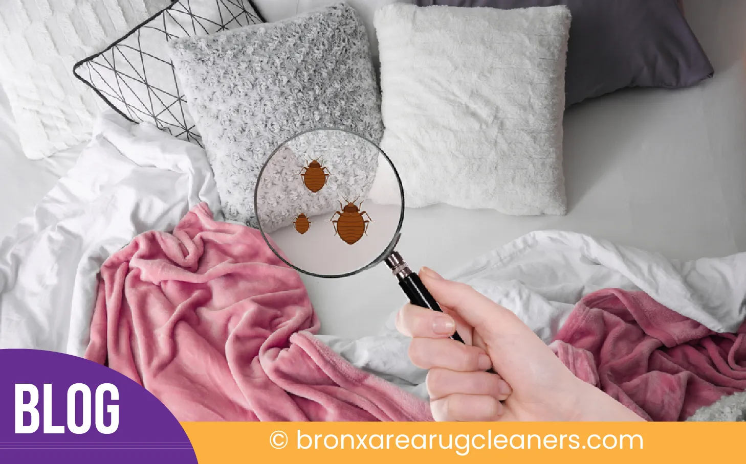 carpet cleaning in the Bronx, carpet cleaning in the Bronx, carpet cleaning the Bronx, carpet cleaners in the Bronx, carpet cleaners in the Bronx, commercial carpet cleaning, commercial carpet cleaning in the Bronx, the Bronx rug cleaners, rug cleaning services in the Bronx, same day carpet cleaning, same day rug cleaning