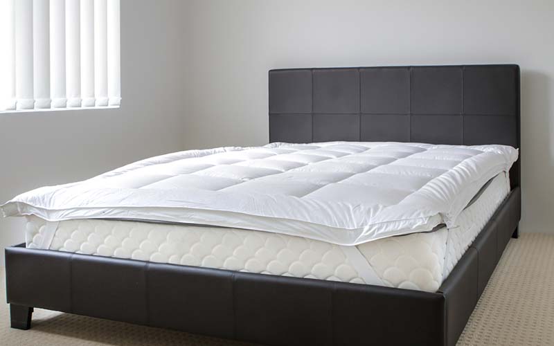 carpet cleaning in the Bronx, carpet cleaning in the Bronx, carpet cleaning the Bronx, carpet cleaners in the Bronx, carpet cleaners in the Bronx, commercial carpet cleaning, commercial carpet cleaning in the Bronx, the Bronx rug cleaners, rug cleaning services in the Bronx, same day carpet cleaning, same day rug cleaning