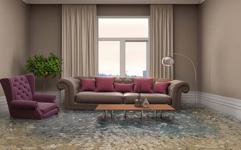 carpet cleaning in the Bronx, carpet cleaning in the Bronx, carpet cleaning the Bronx, carpet cleaners in the Bronx, carpet cleaners in the Bronx, commercial carpet cleaning, commercial carpet cleaning in the Bronx, the Bronx rug cleaners, rug cleaning services in the Bronx, same day carpet cleaning, same day rug cleaning