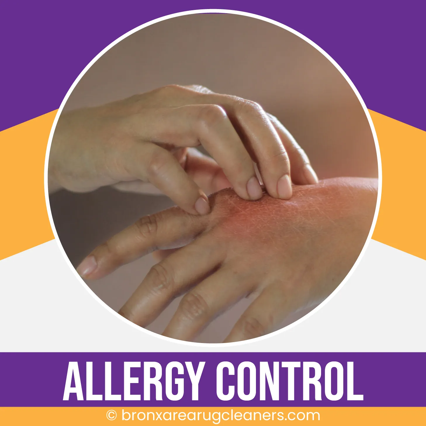 carpet cleaning in the Bronx, carpet cleaning in the Bronx, carpet cleaning the Bronx, carpet cleaners in the Bronx, carpet cleaners in the Bronx, commercial carpet cleaning, commercial carpet cleaning in the Bronx, the Bronx rug cleaners, rug cleaning services in the Bronx, same day carpet cleaning, same day rug cleaning