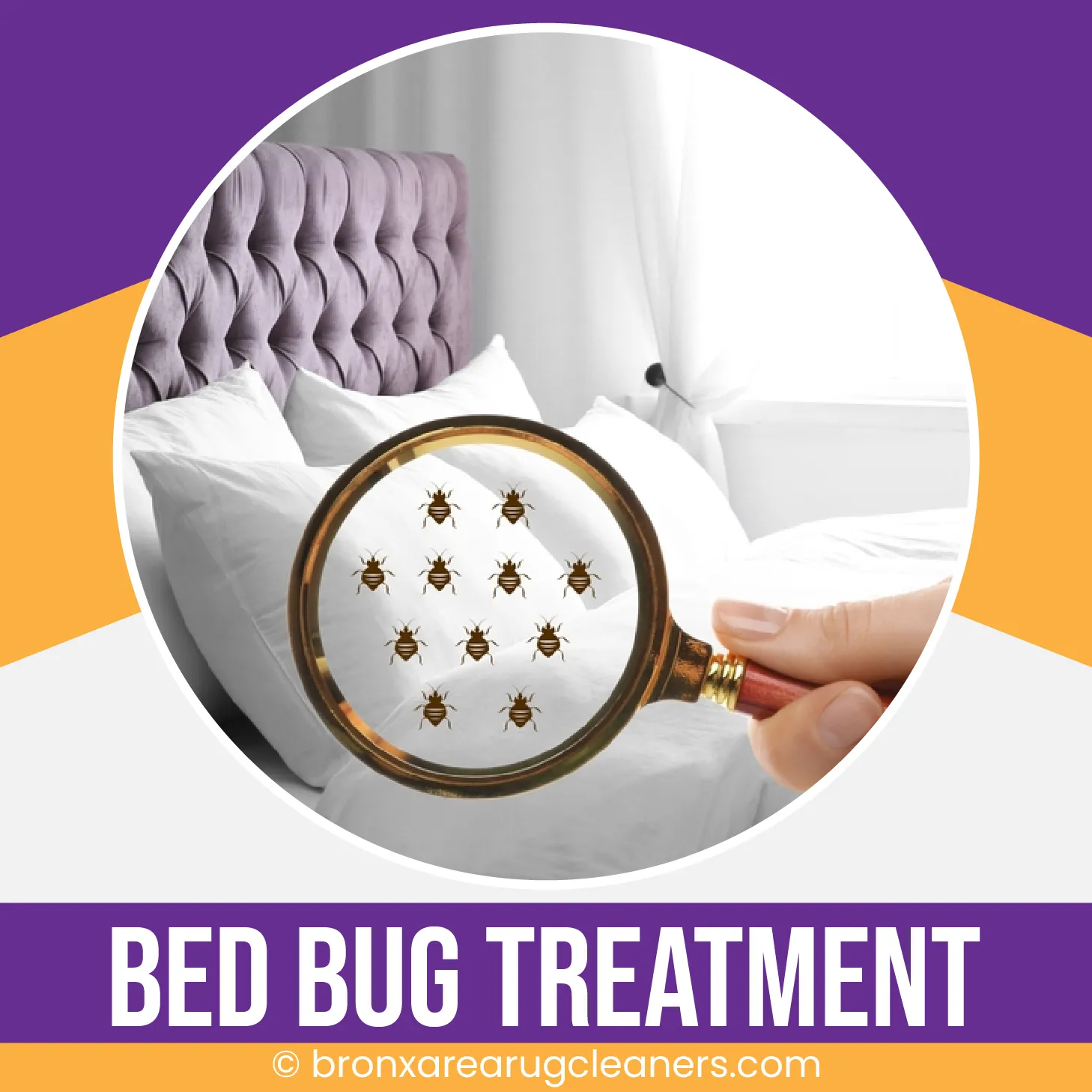 carpet cleaning in the Bronx, carpet cleaning in the Bronx, carpet cleaning the Bronx, carpet cleaners in the Bronx, carpet cleaners in the Bronx, commercial carpet cleaning, commercial carpet cleaning in the Bronx, the Bronx rug cleaners, rug cleaning services in the Bronx, same day carpet cleaning, same day rug cleaning